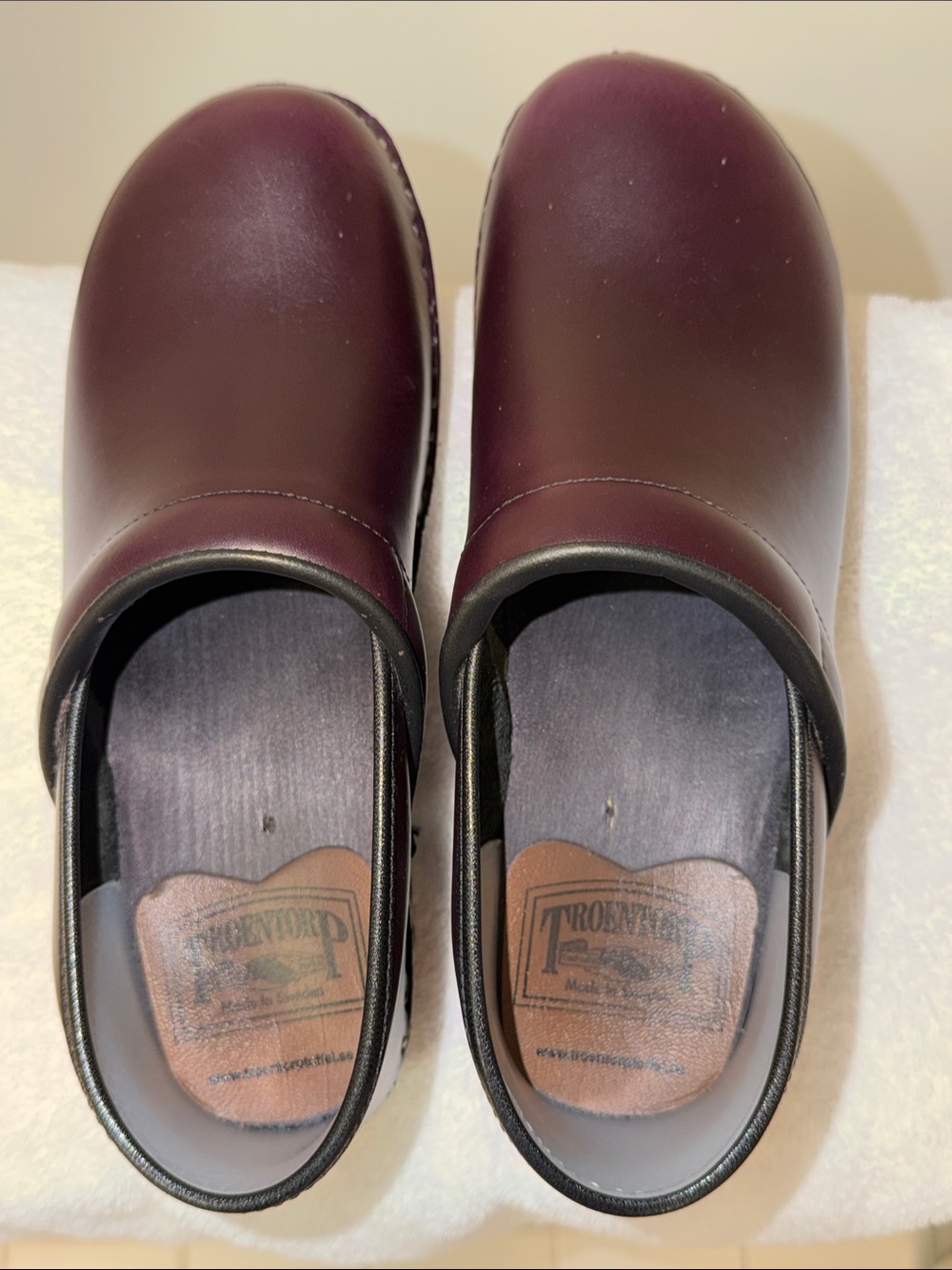 Women's Troentorp Van Gogh Clog in Bordeaux